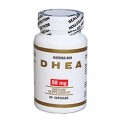 DHEA (60 Capsules)